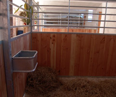 Box im 2009 sanierten Stall